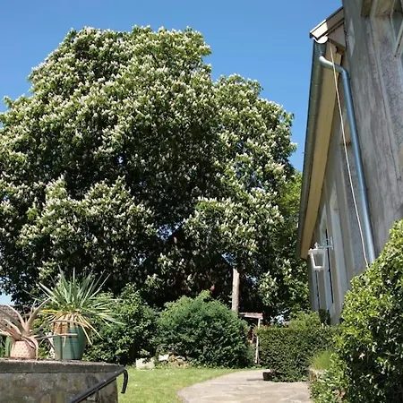 Ferienwohnung Haus Keppelborg: Zi Antonia Mit Kirchplatzblick Heek Exterior foto