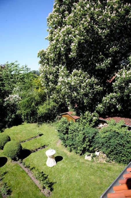 Haus Keppelborg: Zi Antonia Mit Kirchplatzblick Apartment Heek